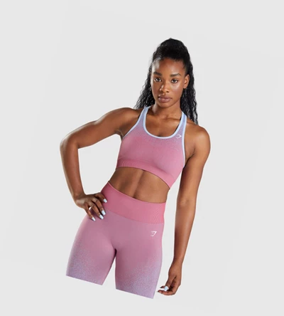 Gymshark Adapt Ombre Seamless Naisten Urheiluliivit Pinkki Pinkki Vaaleansininen | YJRXIP028