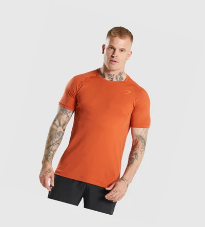 Gymshark Apex Perform Miesten T Paidat Punainen | JXUHFW182