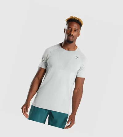 Gymshark Apex Perform Miesten T Paidat Vaaleanharmaat Harmaat | RKFLDJ287