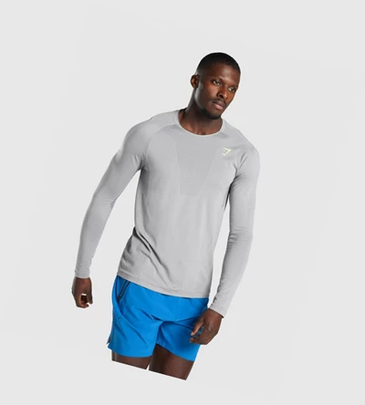 Gymshark Apex Seamless Miesten T Paidat Harmaat | QGFNWD920