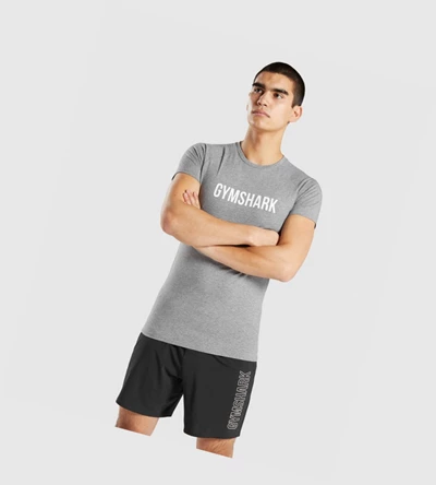 Gymshark Apollo Miesten T Paidat Harmaat | AEIXWY734