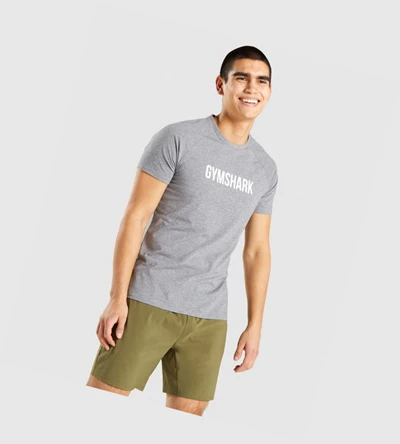 Gymshark Apollo Miesten T Paidat Harmaat | CLAIJZ462