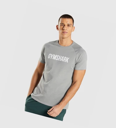 Gymshark Apollo Miesten T Paidat Harmaat | JXECRH251