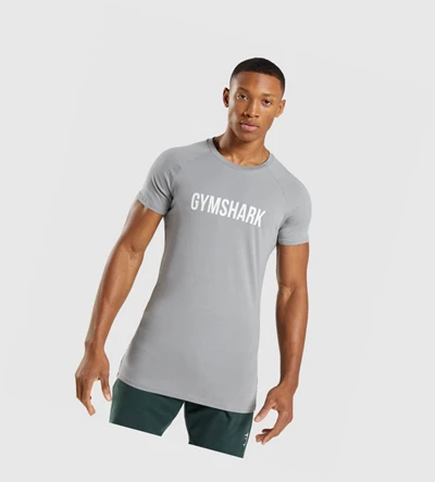 Gymshark Apollo Miesten T Paidat Harmaat | SBWGMV791