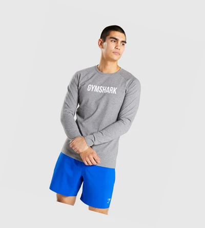 Gymshark Apollo Miesten T Paidat Harmaat | YBNSFV216