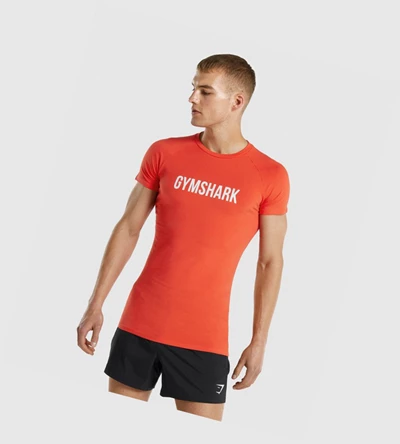 Gymshark Apollo Miesten T Paidat Oranssi | KVOEYR958