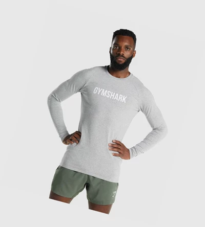 Gymshark Apollo Miesten T Paidat Vaaleanharmaat | IJDMNX817