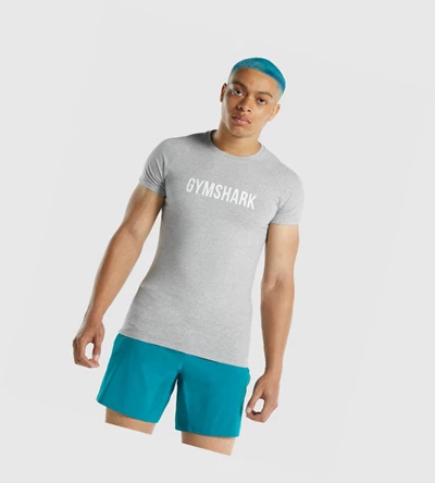 Gymshark Apollo Miesten T Paidat Vaaleanharmaat | KQCUGS073