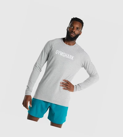 Gymshark Apollo Miesten T Paidat Vaaleanharmaat | LJIKGW519