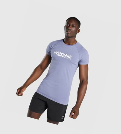 Gymshark Apollo Miesten T Paidat Vaaleansininen | ZGSOIL412