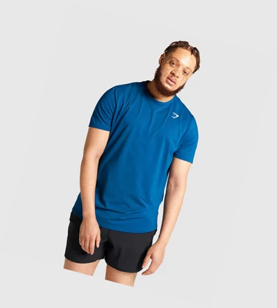 Gymshark Arrival Regular Fit Miesten T Paidat Sininen | FQUXPY865