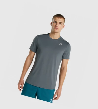Gymshark Arrival Regular Fit Miesten T Paidat Harmaat | QXMCRT601