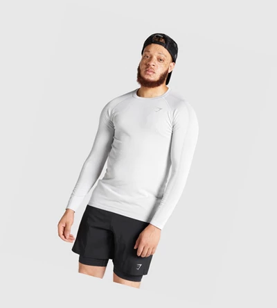 Gymshark Aspect Kevyet Seamless Miesten T Paidat Vaaleanharmaat | JLTDUE031