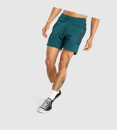 Gymshark Bold Miesten Shortsit Turkoosi | QWNLED870