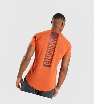 Gymshark Bold Miesten T Paidat Oranssi | KZCMVR769