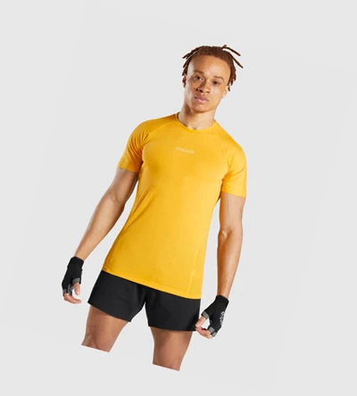 Gymshark Chalk Miesten T Paidat Keltainen | FAKIJM641