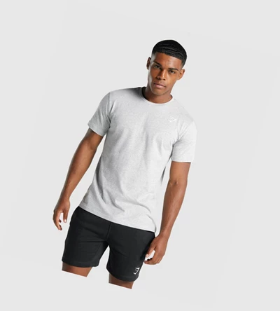 Gymshark Crest Miesten T Paidat Vaaleanharmaat | BYSCIV972