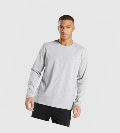 Gymshark Crest Miesten T Paidat Vaaleanharmaat | IDUNZM928