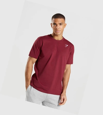 Gymshark Crest Miesten T Paidat Viininpunainen Punainen | ZTKNHD493