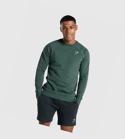 Gymshark Crest Sweatshirt Miesten Vaatteet Tummanvihreä | SUPGJY174