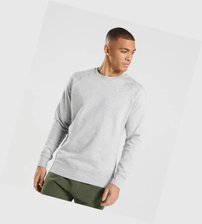 Gymshark Crest Sweatshirt Miesten Vaatteet Vaaleanharmaat | UJQOZV478