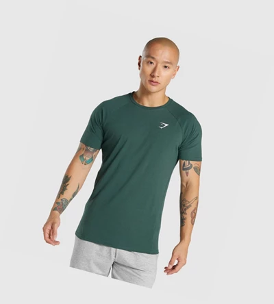 Gymshark Critical 2.0 Miesten T Paidat Tummanvihreä | CHPQVJ718