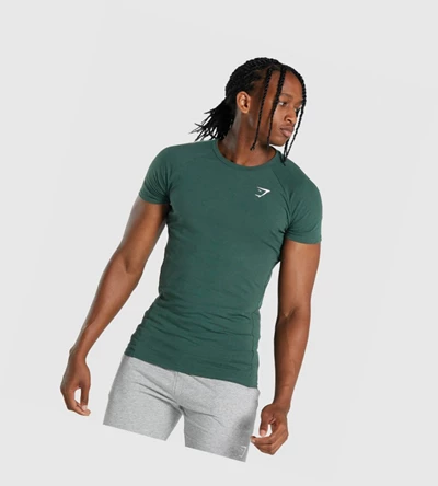 Gymshark Critical 2.0 Miesten T Paidat Tummanvihreä | QKRWMI398