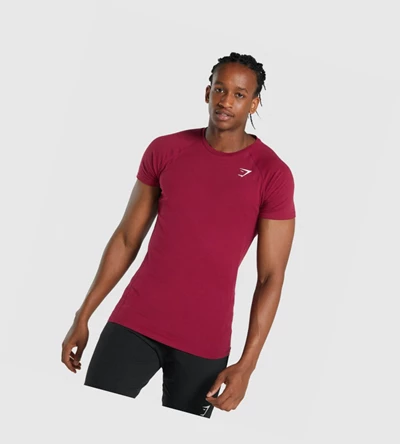 Gymshark Critical 2.0 Miesten T Paidat Viininpunainen | JEVUCA293