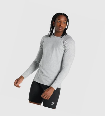 Gymshark Critical 2.0 Miesten T Paidat Vaaleanharmaat | KGROCB469