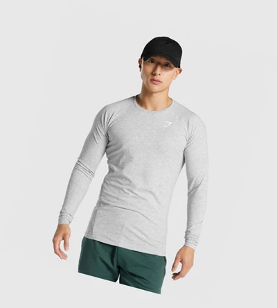 Gymshark Critical 2.0 Miesten T Paidat Vaaleanharmaat | OYZIEC719