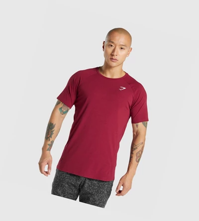 Gymshark Critical 2.0 Miesten T Paidat Viininpunainen | URKZMC270