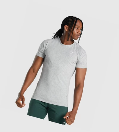 Gymshark Critical 2.0 Miesten T Paidat Vaaleanharmaat | VJTWSP164