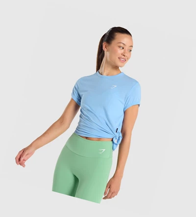 Gymshark Essential Naisten T Paidat Vaaleansininen | JAERUL451