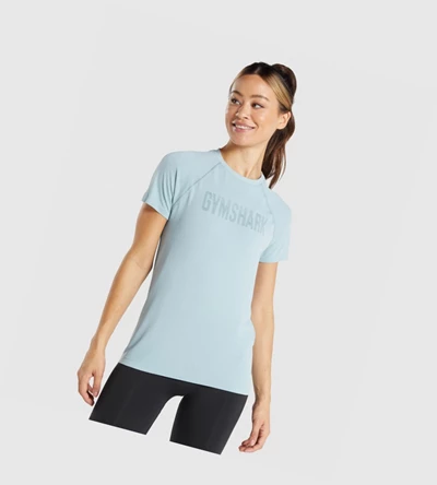 Gymshark Fit Seamless Loose Naisten T Paidat Sininen | CZONSW071