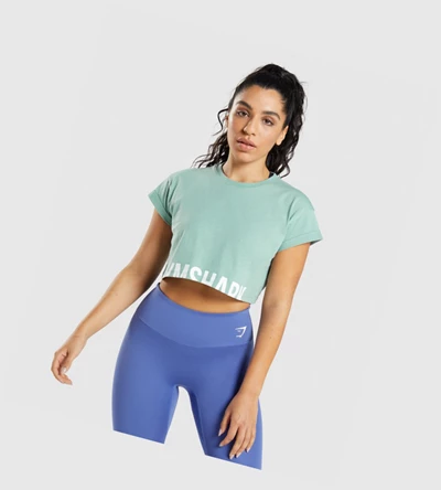 Gymshark Fraction Crop Top Naisten Puserot Sininen | CBLPOK391