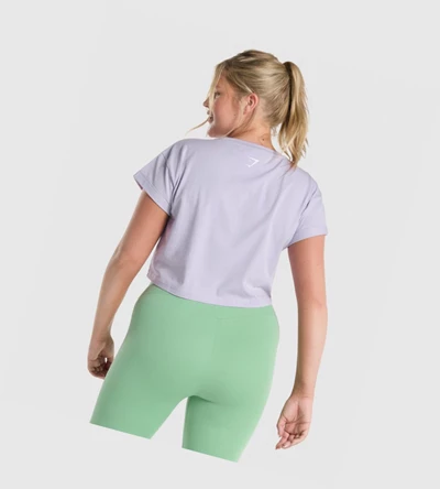 Gymshark Fraction Crop Top Naisten Puserot Vaaleanvioletit | ZWGIQV938