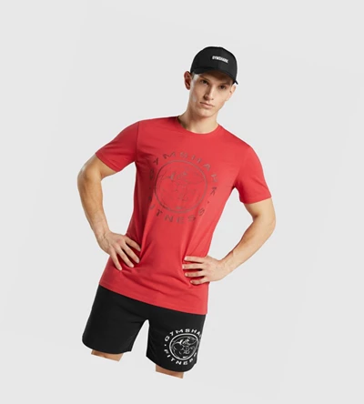 Gymshark Legacy Miesten T Paidat Punainen | MOTWUQ964