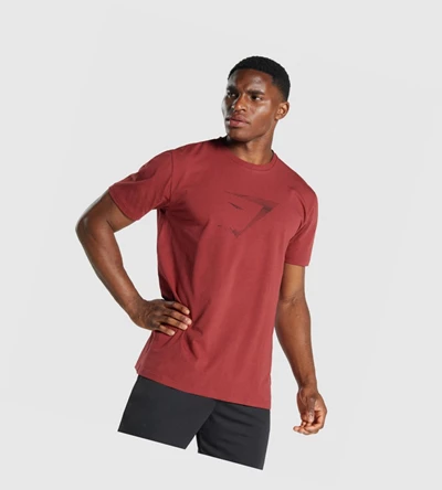 Gymshark Sharkhead Infill Miesten T Paidat Viininpunainen | EHZBPK652