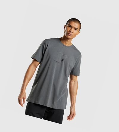 Gymshark Sharkhead Infill Miesten T Paidat Harmaat | NFCZPA613