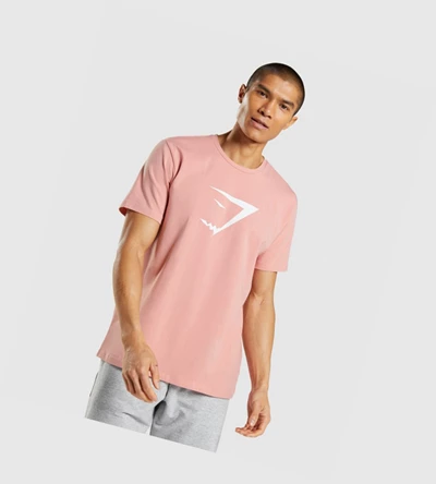 Gymshark Sharkhead Infill Miesten T Paidat Pinkki | ZEAHQI576