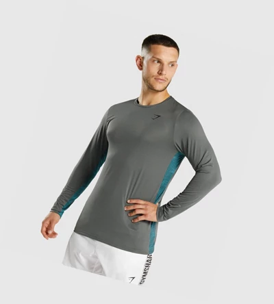 Gymshark Urheilu Miesten T Paidat Harmaat | GUMJWC754