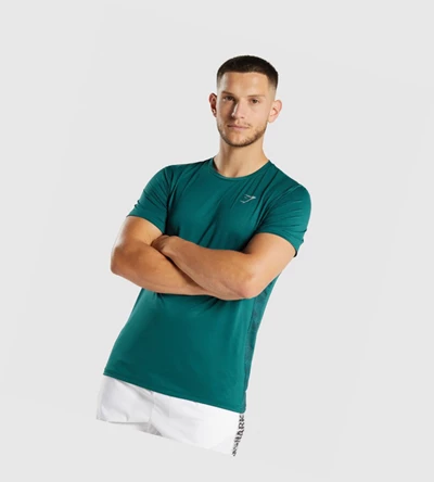 Gymshark Urheilu Miesten T Paidat Turkoosi | FJOKSB680
