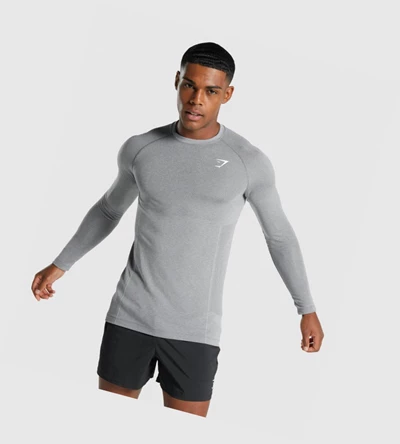 Gymshark Vital Light Seamless Miesten T Paidat Harmaat | CSIWXH814