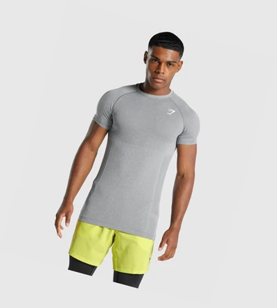 Gymshark Vital Light Seamless Miesten T Paidat Harmaat | YWVRQN831