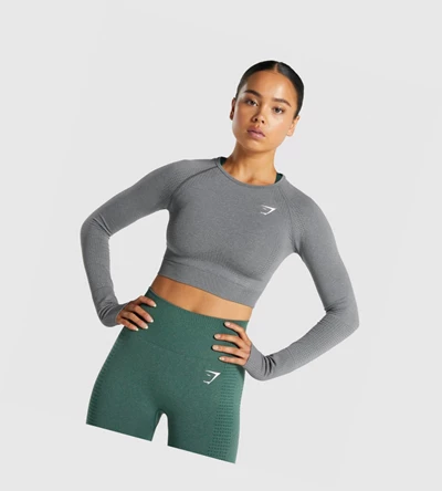 Gymshark Vital Seamless 2.0 Crop Top Naisten T Paidat Harmaat | PQGWBI948