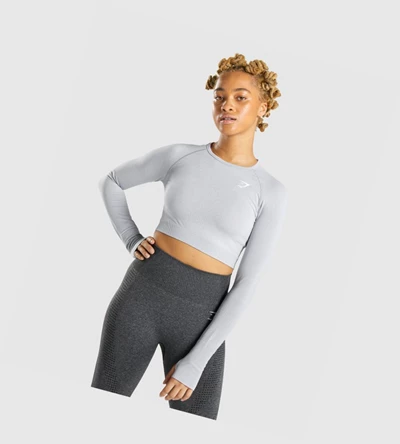 Gymshark Vital Seamless 2.0 Crop Top Naisten T Paidat Vaaleanharmaat | YVCDSF768