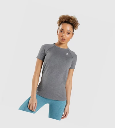 Gymshark Vital Seamless 2.0 Light Naisten T Paidat Harmaat | YPNIEC417