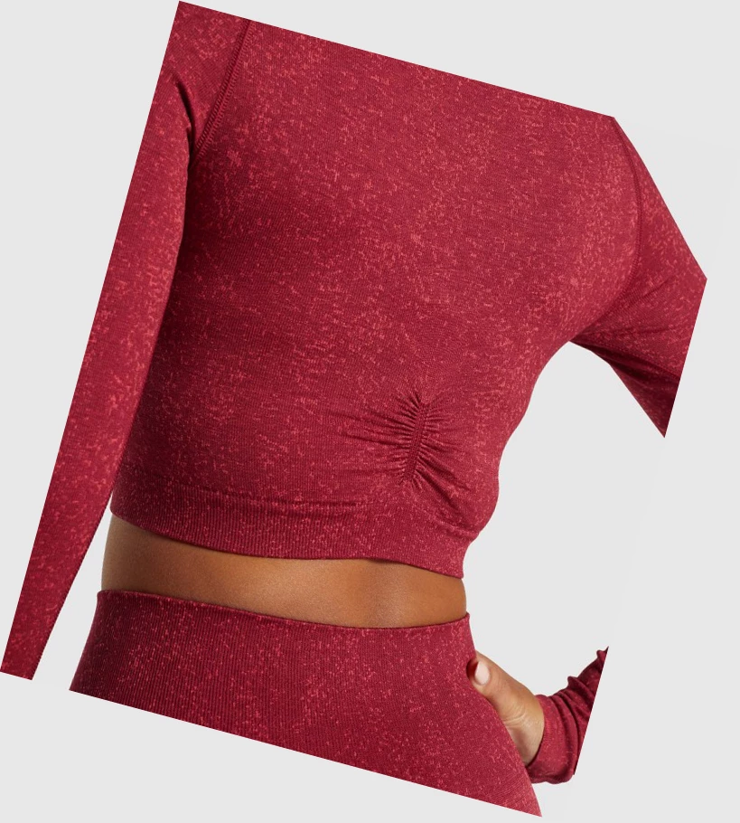 Gymshark Adapt Fleck Seamless Crop Top Naisten T Paidat Viininpunainen | TYJIRP602