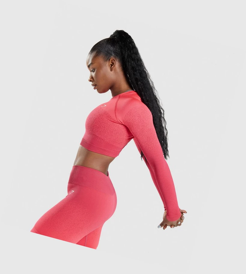 Gymshark Adapt Ombre Seamless Crop Top Naisten Puserot Pinkki Punainen | CWKXQS473