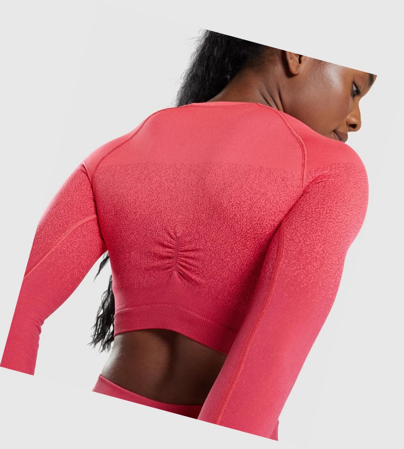 Gymshark Adapt Ombre Seamless Crop Top Naisten Puserot Pinkki Punainen | CWKXQS473